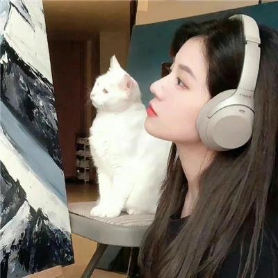 口碑推荐